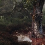 The-Vanishing-of-Ethan-Carter-2