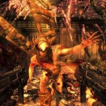 Shadow-Warrior-1