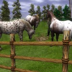 WildLife-Park-1