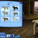 sims-2